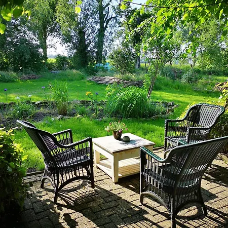 Noorse Viking En Westbeemster